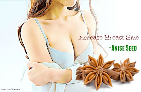 Home Remedies To Increase Breast Size - Anise Seed