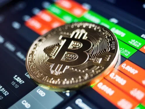 Bitcoin profits 2021