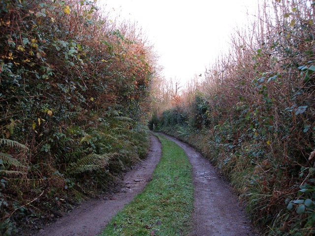 11th_december_2009