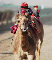 robots-jockeys Dubai