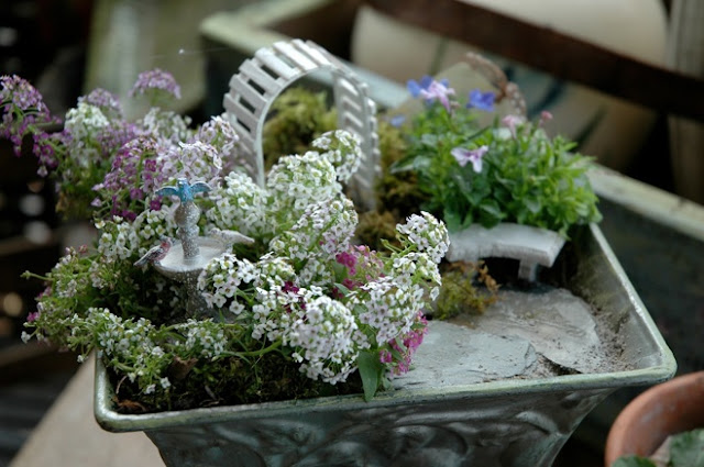 Vasos são transformados em mini jardins