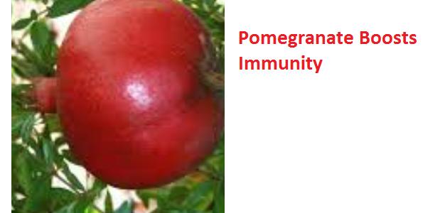 Benefits of Pomegranate Fruit Juice-  Boosts Immunity