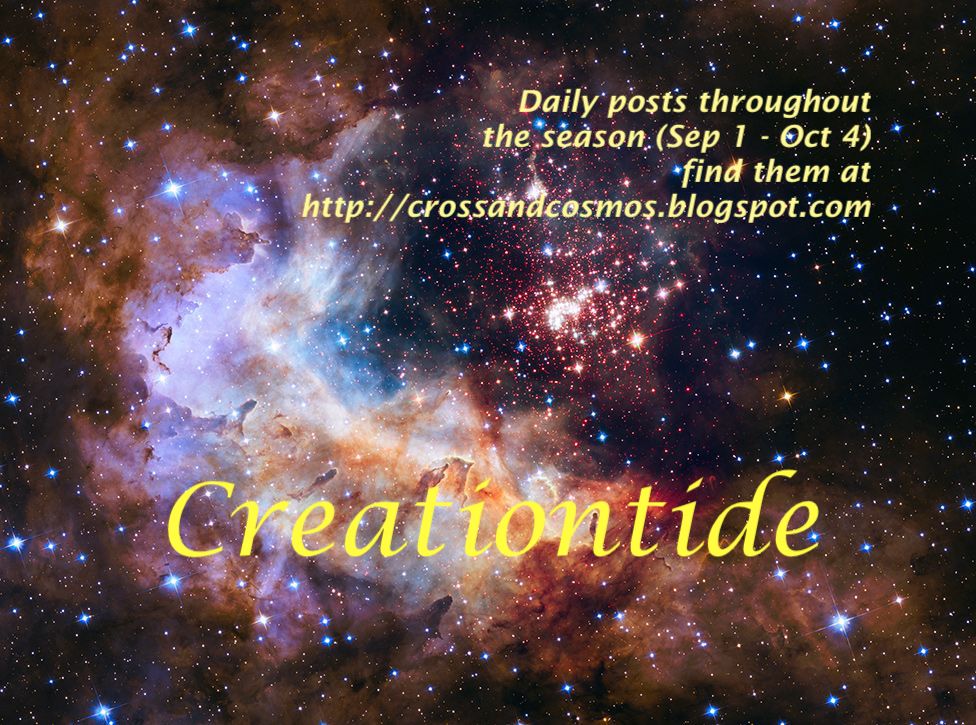 Creationtide Collection