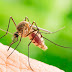 Ακυρώθηκε ο ψεκασμός για την καταπολέμηση των  κουνουπιών στα Βασιλικά λόγω εκτάκτων καιρικών συνθηκών 