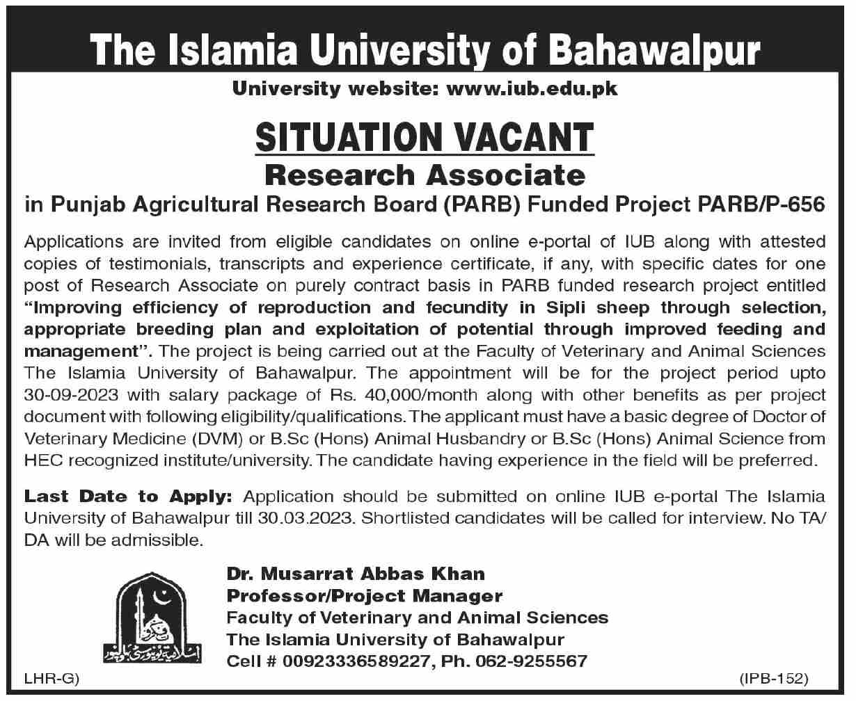 Jobs Announcement at The Islamia University of Bahawalpur Research Posts Bahawalpur 2023