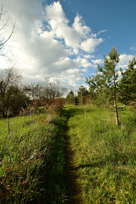 Mono Cliffs Trail Ontario.