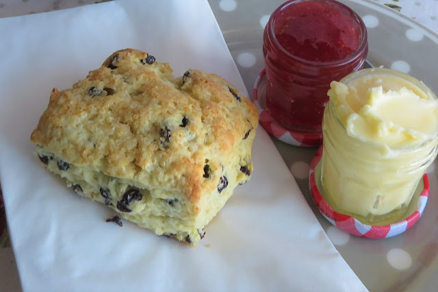 Orange and Currant Cream Scones