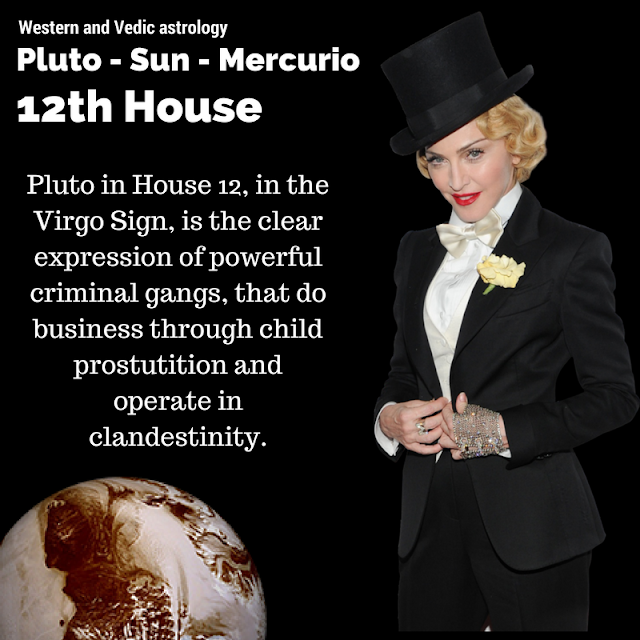 pluto venus, pluto astrological house, pluto zodiac signs, pluto horoscope, western and vedic astrology, pluto vedic astrology, 