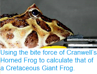 http://sciencythoughts.blogspot.co.uk/2017/09/using-bite-force-of-cranwells-horned.html