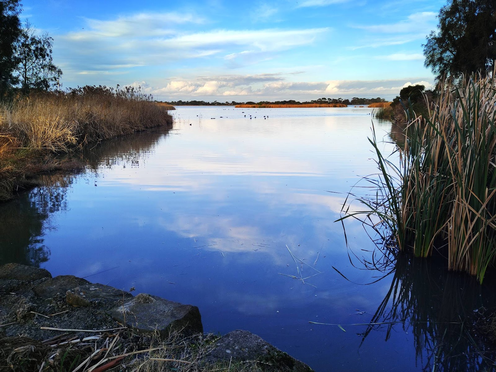 Cherry Lake