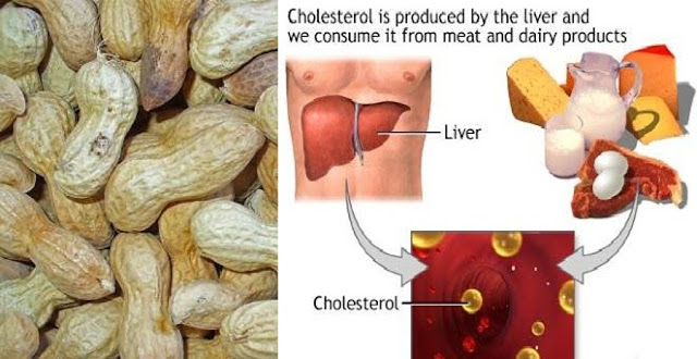  Tolong Bantu Share ya..!! INILAH Kandungan Luar Biasa Kacang Tanah dan Khasiatnya Untuk Menurunkan Kolesterol