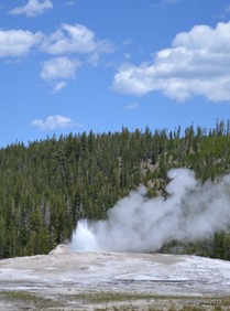 Waiting for Old Faithful