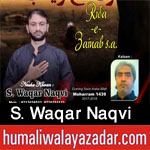 http://www.humaliwalayazadar.com/2017/10/syed-waqar-naqvi-nohay-2018.html