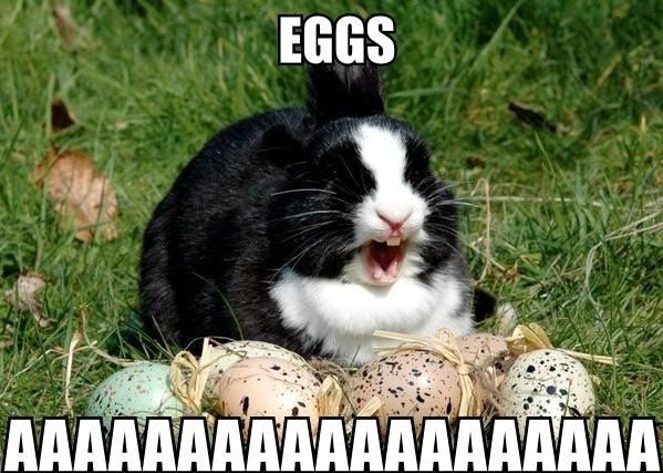 Funny Happy Easter Memes Images For Tumbler Facebook Whatsapp