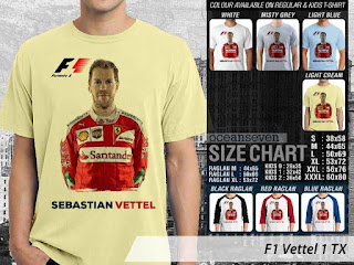 F1 Vettel 1 TX