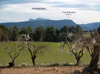 A llevant la vista arriba al Puig d'Aguilera i als cims de Montserrat