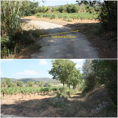 SANT JAUME DELS DOMENYS-PUIG DE LA TIULA, Torrent del Fondo Gran de la Gomila a tocar de la Masia de l'Alzinar