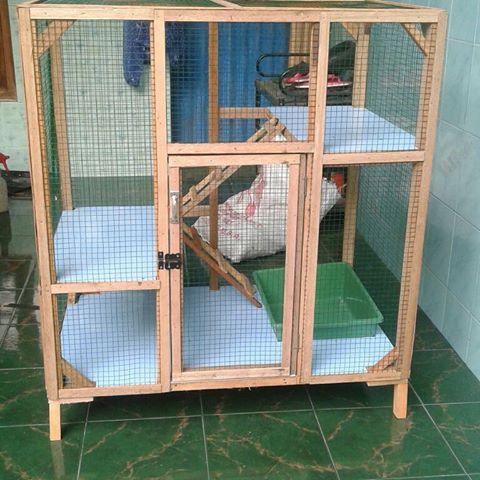  Contoh  Kandang  Kucing  Buatan Sendiri Harga Murah