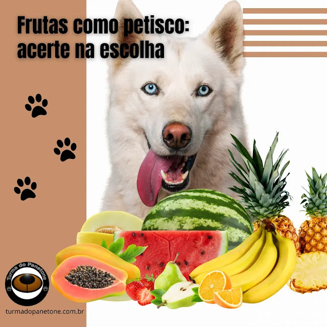 Frutas como petisco: acerte na escolha