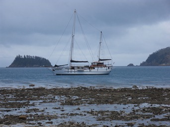 SDC17353