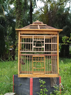 Kandang ayam hutan 