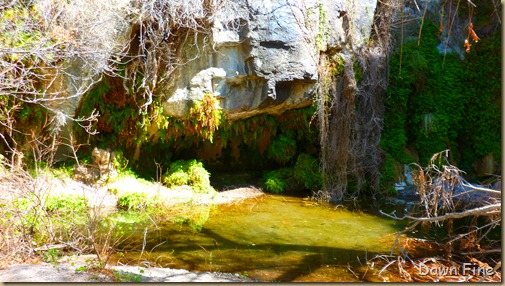 Big Bend Ranch State park_023