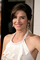 Cobie Smulders HQ photo