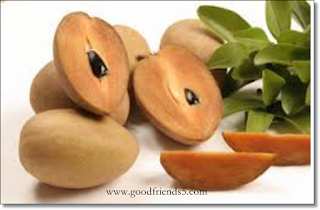 sapodilla fruit