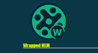 Wrapped NXM, WNXM coin