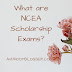 What are NCEA Scholarship Exams?