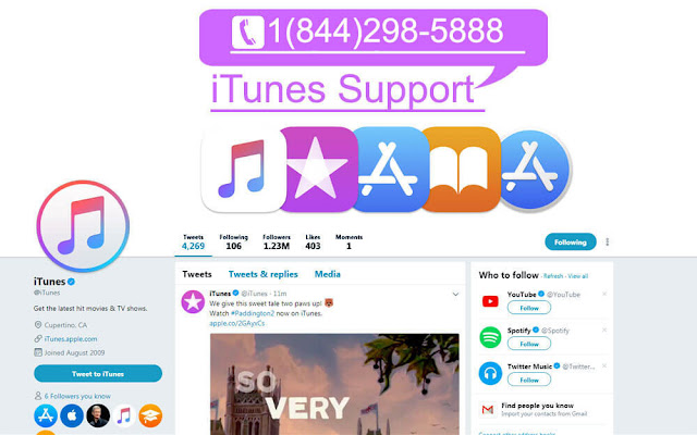 iTunes Support