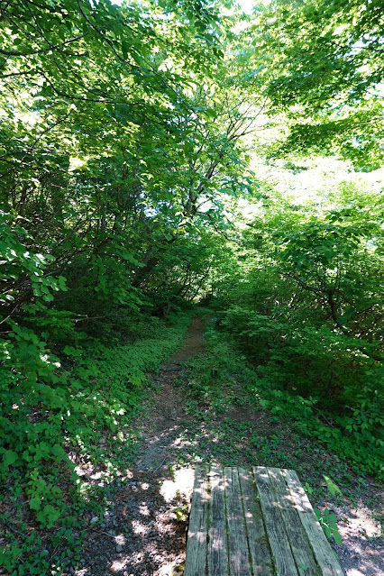 鳥取県西伯郡大山町大山　大休峠避難小屋　船上山方面