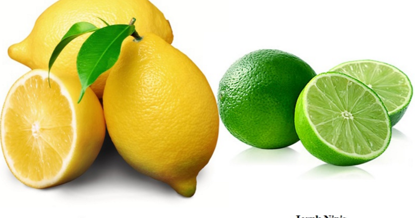 Gokil 17 Gambar Warna  Hijau  Lemon 