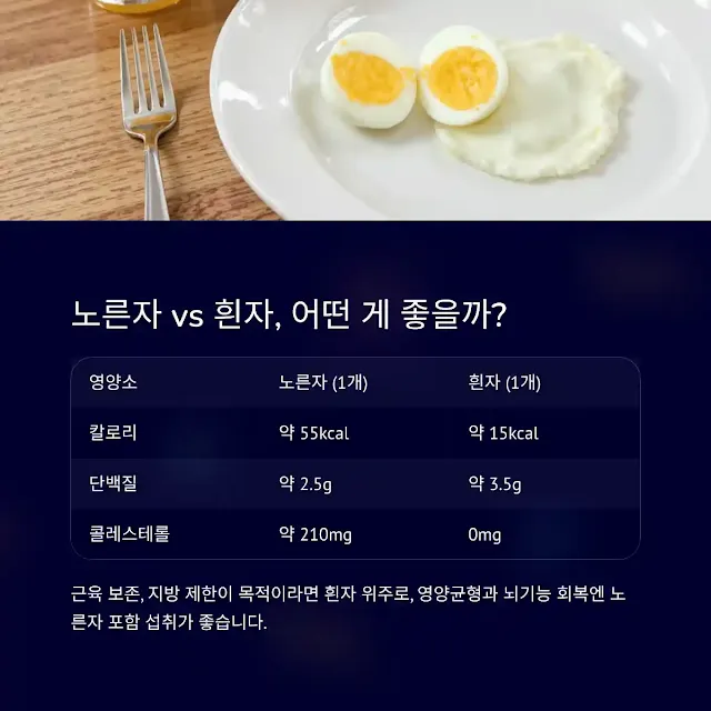 노른자 vs 흰자, 어떤 게 좋을까?