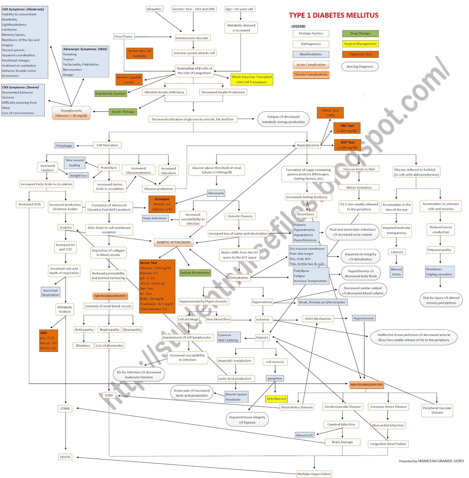 AMCC Library: Diabetes Mellitus (Type 1)