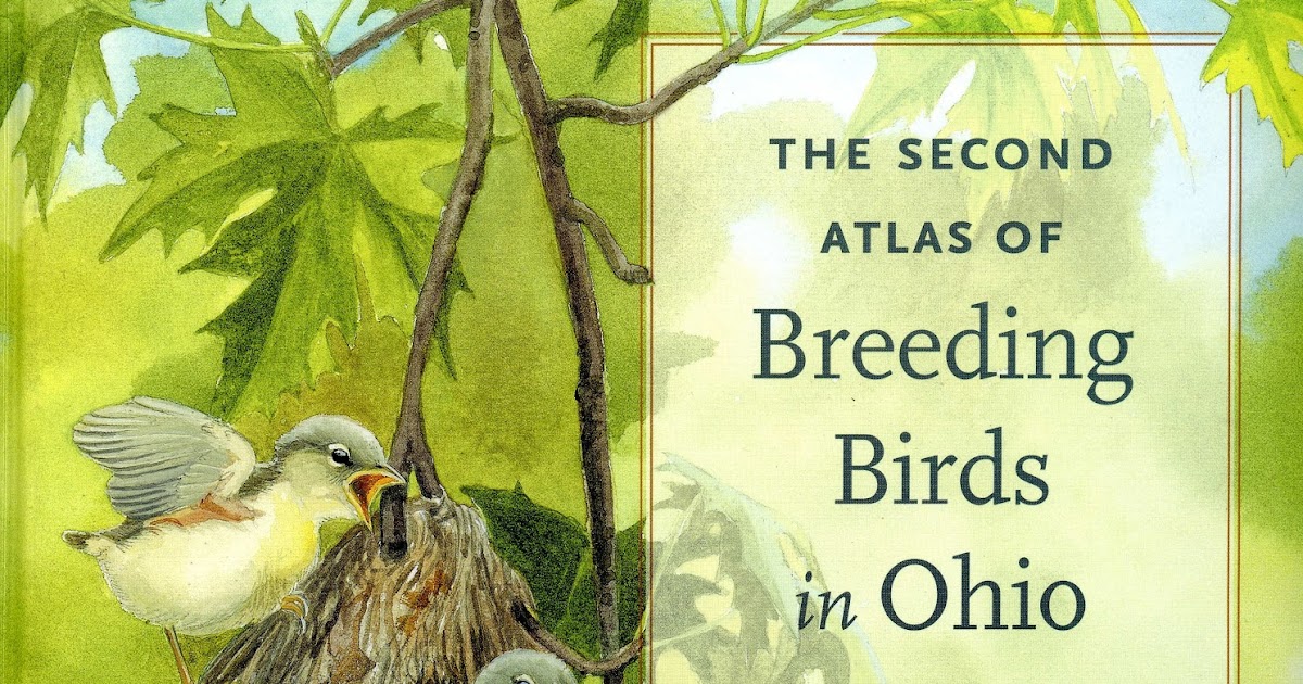 Birds From Behind The Second Atlas Of Breeding Birds In
