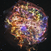 Supernova Remnant G292.0+1.8