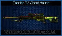 Tactilite T2 Ghost House