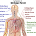 Low Platelet Count Treatment