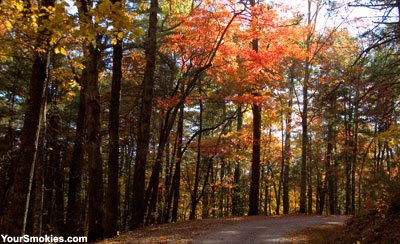 Rich Mountain Road closes in winter and since it is in full peak colors for leaf season now