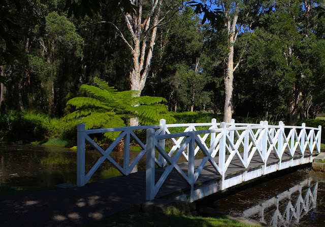 Lily Pond Bridge at Centennial Park, Sydney