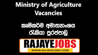 Ministry of Agriculture Job Vacancies 2022