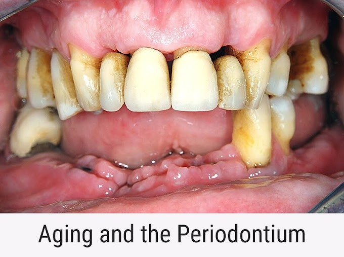 PDF: Aging and the Periodontium