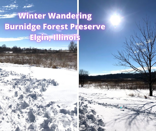 Winter Rambling Through a Tranquil Landscape at Elgin's Burnidge Forest Preserve