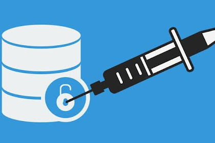 Sql Injection Manual