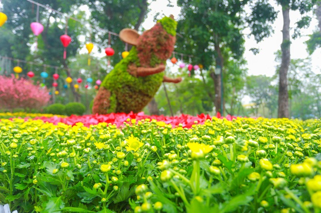 Ngỡ ngàng với cây cảnh tạo hình chuột khổng lồ đón Tết Canh Tý ở Hà Nội - 2