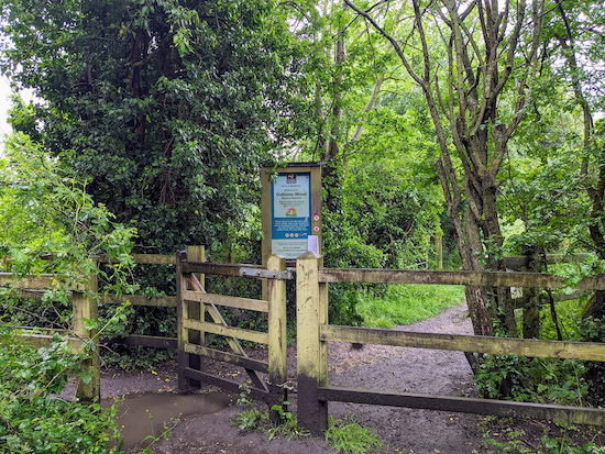 Go through the gate leading to Gobions Wood