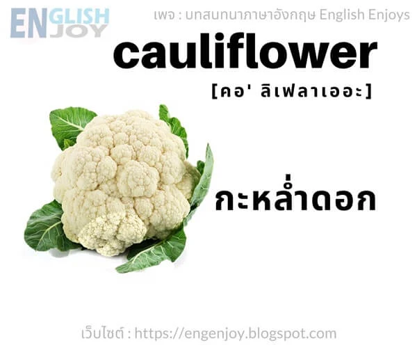 คําศัพท์ภาษาอังกฤษ ผัก - Cauliflower (กะหล่ำดอก)_Vegetables
