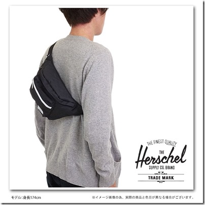 Hershel Seventeen Hip Pack 3 Liter 2