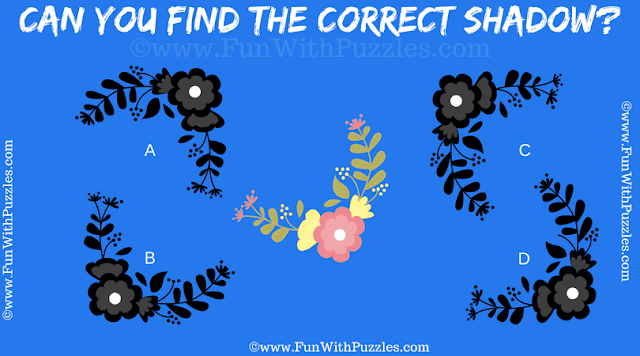 Ultimate Puzzle Mix: Can You Find the Correct Shadow?